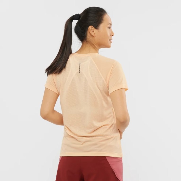 Apricot Salomon Cross Rebel Short Sleeve Women's T-Shirts | PH 51627H